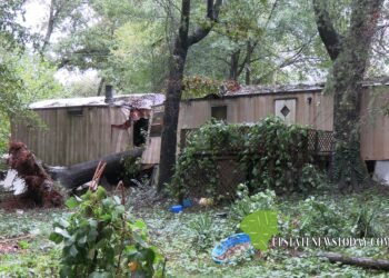 Hurricane Helene Reeks Havoc on Anderson County |Anderson County, SC
