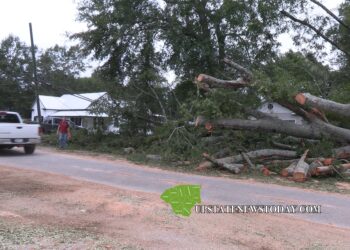 Driver Dies in Head-on Collision |West Pelzer, SC