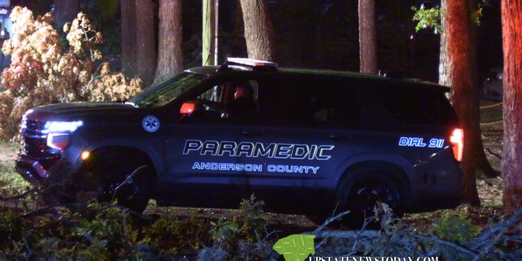 Car Crashes Into Fallen Tree |Anderson, SC