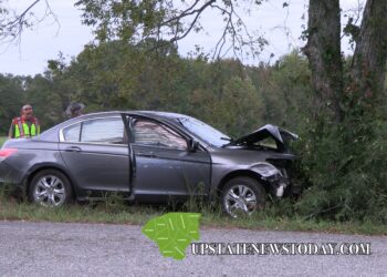 Car vs. Tree |Pelzer, SC