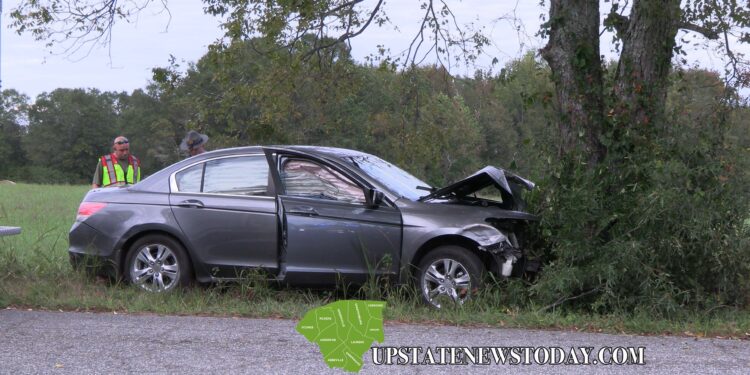 Car vs. Tree |Pelzer, SC