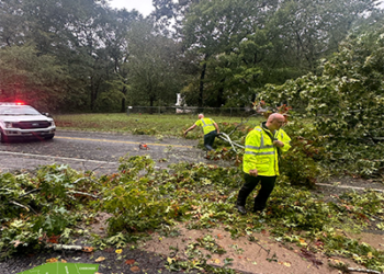 Debris Removal |Anderson, SC