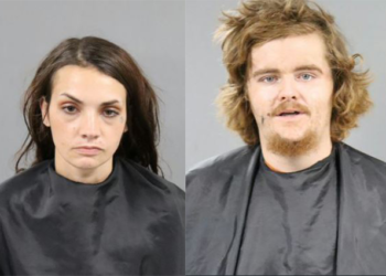 DEPLORABLE CONDITIONS LEAD TO DEAD AND MALNOURISHED DOGS |Anderson, SC