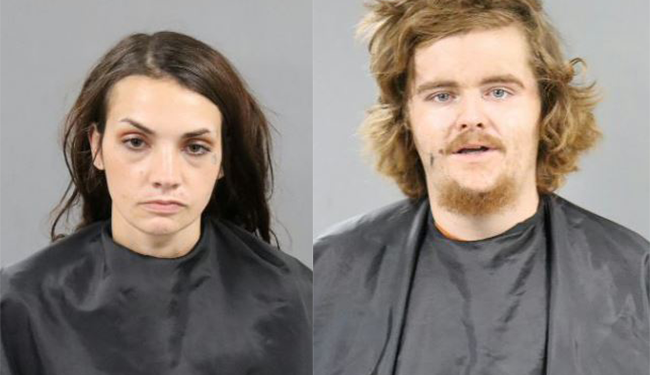 DEPLORABLE CONDITIONS LEAD TO DEAD AND MALNOURISHED DOGS |Anderson, SC