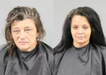 Anderson County Arrest November 11, 2024