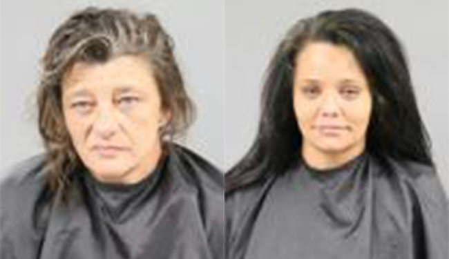 Anderson County Arrest November 11, 2024