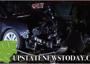 Head-On Collision Highway 81 North |Easley, SC